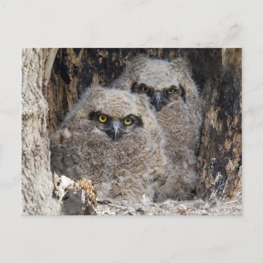Blätter Postkarte (Vorderseite)