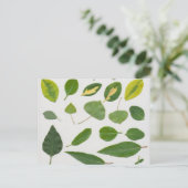 Blätter Postkarte (Stehend Vorderseite)