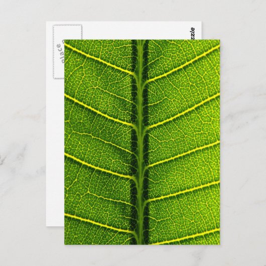 Blätter Postkarte (Vorne/Hinten)