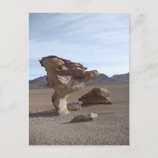 Blätter Postkarte (Vorderseite)