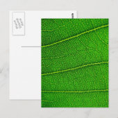 Blätter Postkarte (Vorne/Hinten)