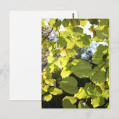 Blätter Postkarte (Vorne/Hinten)