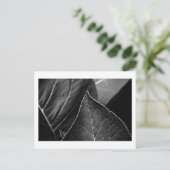 Blätter Postkarte (Stehend Vorderseite)