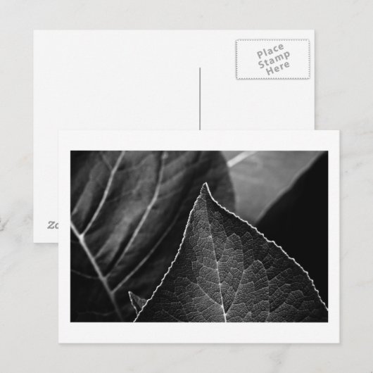 Blätter Postkarte (Vorne/Hinten)