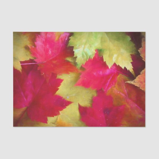 Blätter Rote Gelbe Maple im Herbst Kunst Seidenpapier (Vorderseite)