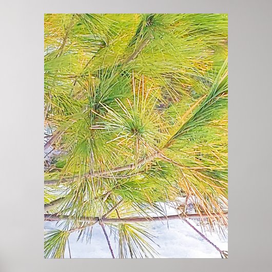 Blätter Schnee und Pine Tree. Jetzt kaufen Poster (Vorne)