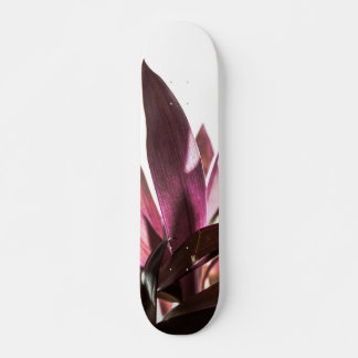 Blätter Skateboard