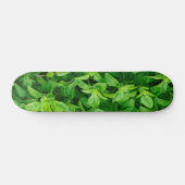Blätter Skateboard 2 (Horizontal)