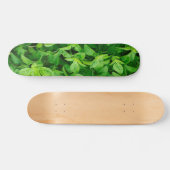 Blätter Skateboard 2 (Horizontal)