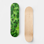 Blätter Skateboard 2 (Vorderseite)