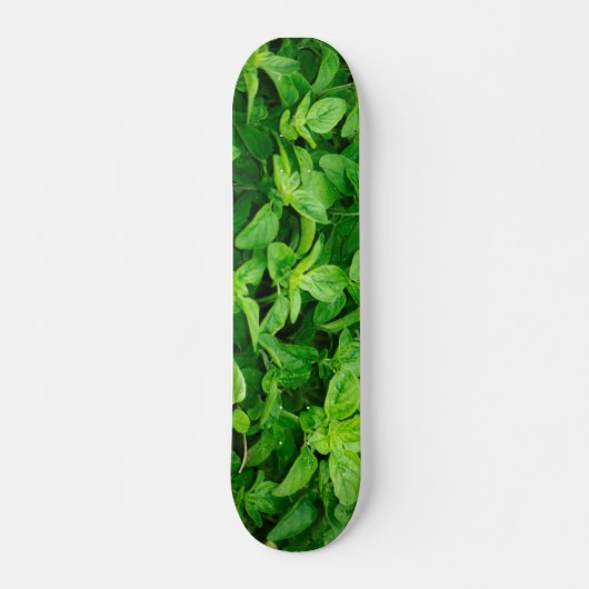 Blätter Skateboard 2 (Vorne)