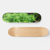 Blätter Skateeboard Skateboard (Horizontal)