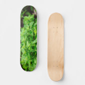 Blätter Skateeboard Skateboard (Vorderseite)