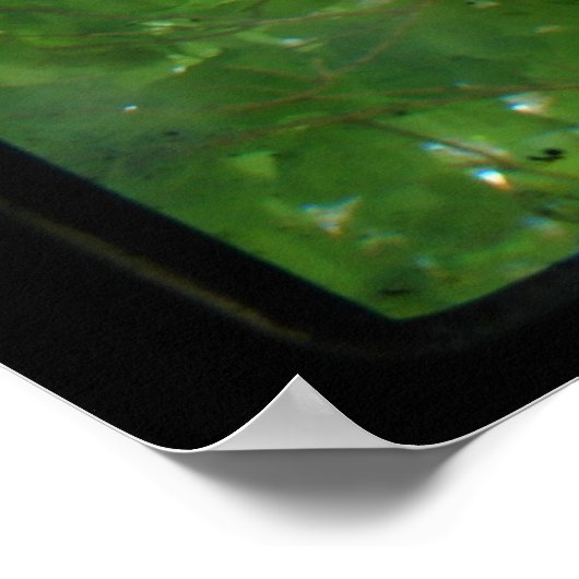 BLÄTTER TTV POSTER (Ecke)