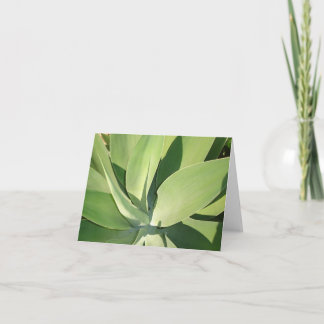 Blätter u. Schatten v2 Karte