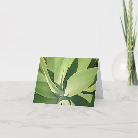 Blätter u. Schatten v2 Karte (Vorderseite)