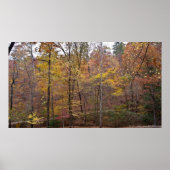 Blätter über dem blumengeschmückten Poster (Vorne)