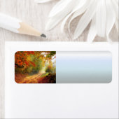 Blätter und Bäume im Herbst, die die schmutzige St (Insitu)