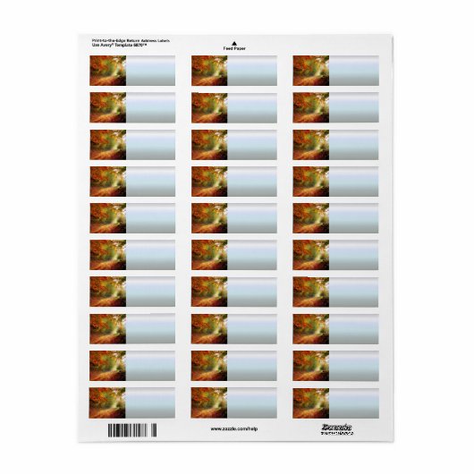 Blätter und Bäume im Herbst, die die schmutzige St (Vorne)