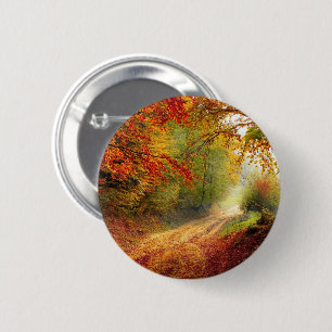 Blätter und Bäume im Herbst, die die schmutzige St Button