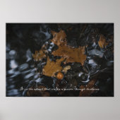 Blätter und Eichen aus Eiche in dunklen Gewässern Poster (Vorne)