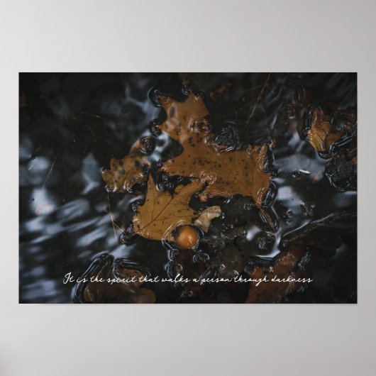 Blätter und Eichen aus Eiche in dunklen Gewässern Poster (Vorne)