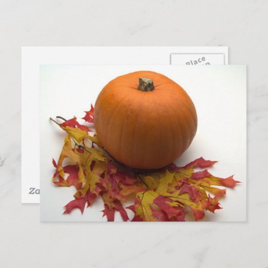 Blätter und Pumpkins Postkarte (Vorne/Hinten)