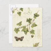 Blätter und Schmetterling Postkarte (Vorne/Hinten)