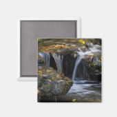 Blätter und Wasserfälle Magnet (Vorderseite/Rückseite)