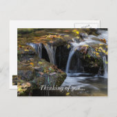 Blätter und Wasserfälle Postkarte (Vorne/Hinten)
