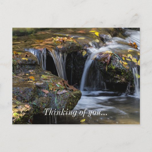 Blätter und Wasserfälle Postkarte (Vorderseite)