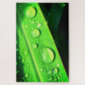 Blätter und Wassertropfen Puzzle (Vertikal)