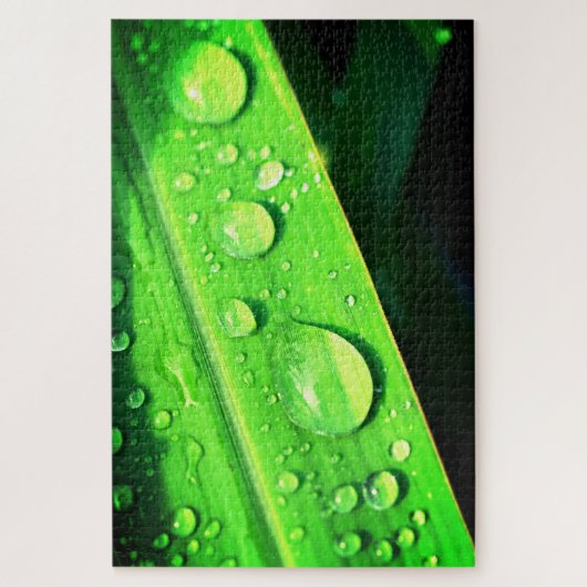 Blätter und Wassertropfen Puzzle (Vertikal)