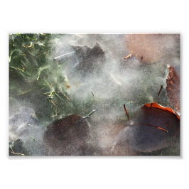 Blätter unter Eis Fotodruck