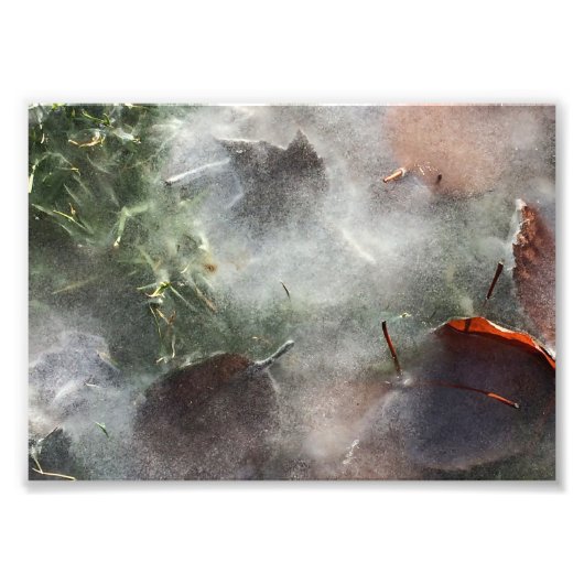 Blätter unter Eis Fotodruck (Vorne)