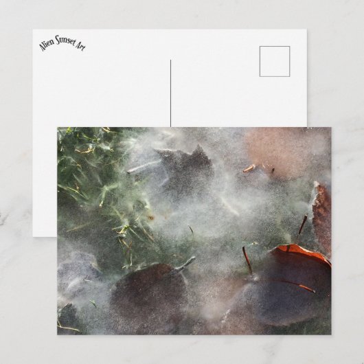 Blätter unter Eis Postkarte (Vorne/Hinten)