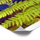 Blätter von Fern von Rowan Blair Colver Poster (Ecke)