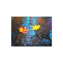 Blätter von gefallenem Ahorn