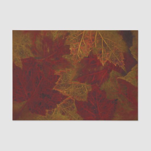 Blätter von Herbst Roter Neon Dunkler Ahorn Seidenpapier (Vorderseite)