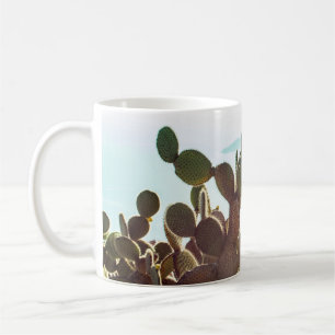 Blätter von Kakteen. Pflanze im Freien mit Lichtei Kaffeetasse