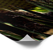 Blätter von Kakteen. Pflanze im Freien mit Lichtei Poster (Ecke)