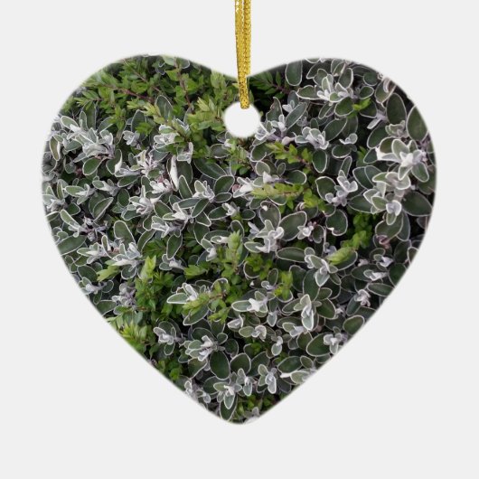 Blätter von Sträuchern im Park Keramik Ornament (Vorne)