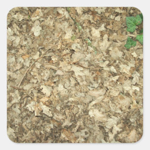 Blätter. Waldboden. Belaubter Boden Quadratischer Aufkleber