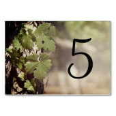 Blätter Weinbau Tischnummern (Rückseite)