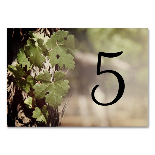 Blätter Weinbau Tischnummern (Vorderseite)