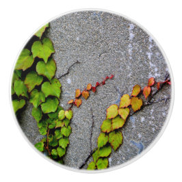 Blätter zur Herbstfarbe Keramikknauf