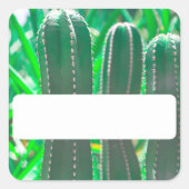Blätter zur Pflanze von Pastel Green Cactus Quadratischer Aufkleber (Vorderseite)