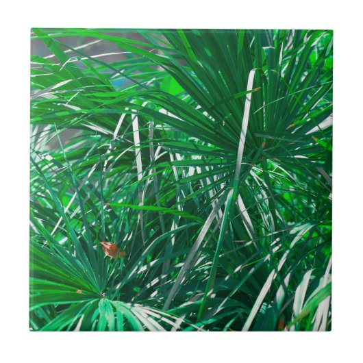 Blätter zur Pflanze von Pastel Green Palm Tree Fliese (Vorderseite)