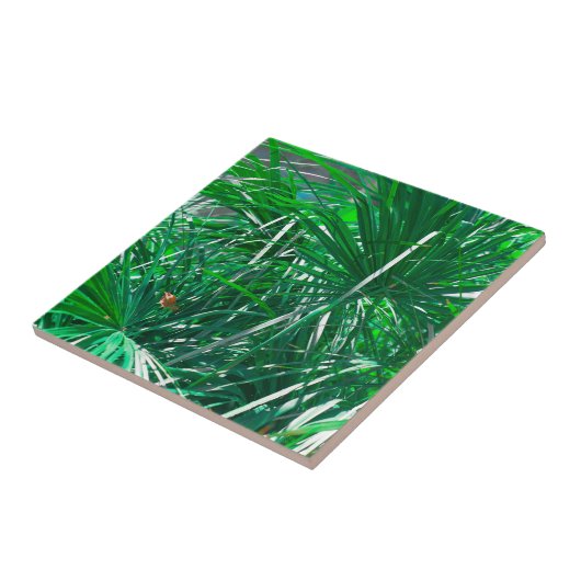 Blätter zur Pflanze von Pastel Green Palm Tree Fliese (Seite)