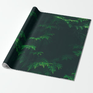 Blätterpapier Geschenkpapier